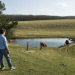 kathy evans looks over her land